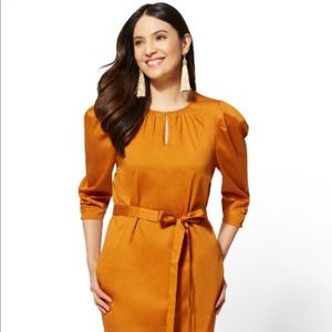 Puffy sleeve shift dress.